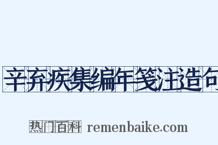 辛弃疾集编年笺注造句是什么意思的图片